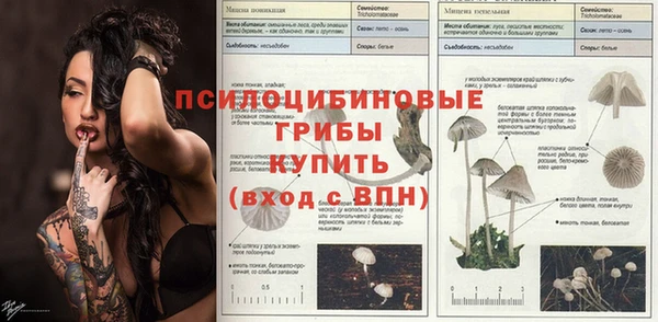 дживик Осинники
