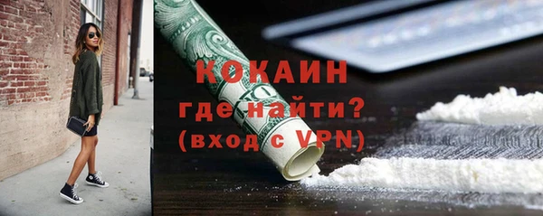 дживик Осинники